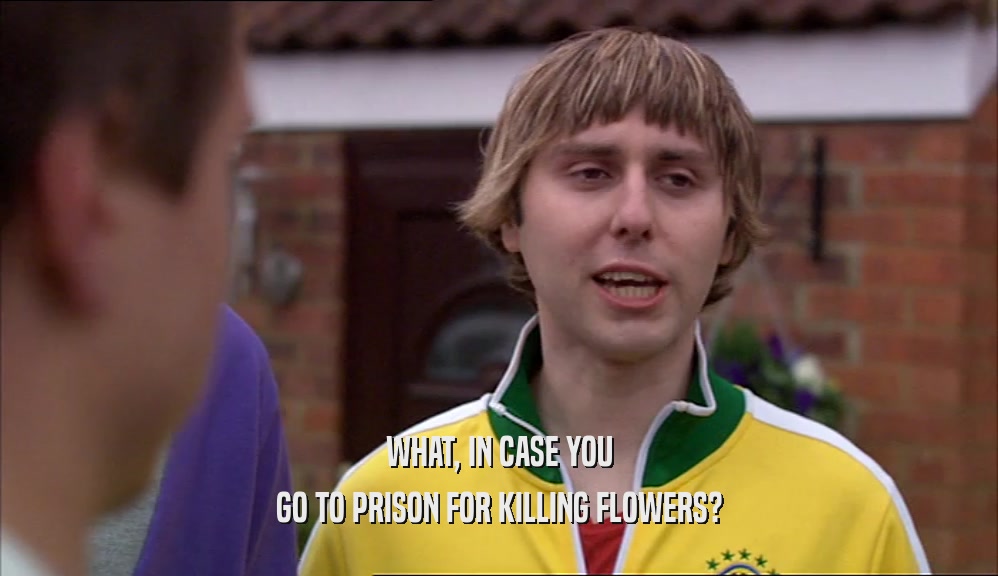 WHAT, IN CASE YOU GO TO PRISON FOR KILLING FLOWERS? 