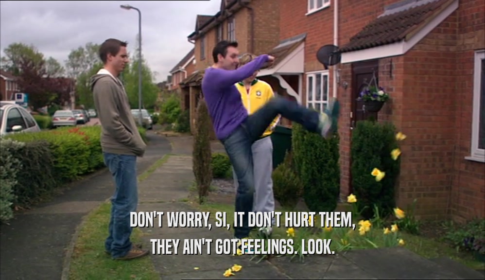 DON'T WORRY, SI, IT DON'T HURT THEM, THEY AIN'T GOT FEELINGS. LOOK. 