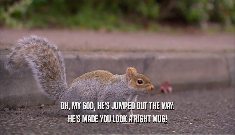 OH, MY GOD, HE'S JUMPED OUT THE WAY. HE'S MADE YOU LOOK A RIGHT MUG! 