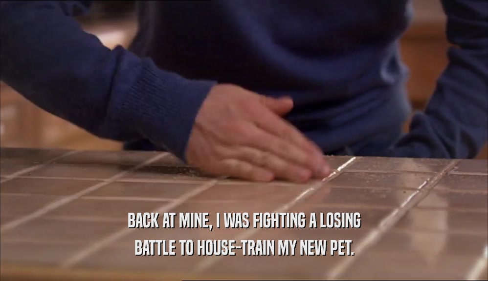 BACK AT MINE, I WAS FIGHTING A LOSING BATTLE TO HOUSE-TRAIN MY NEW PET. 