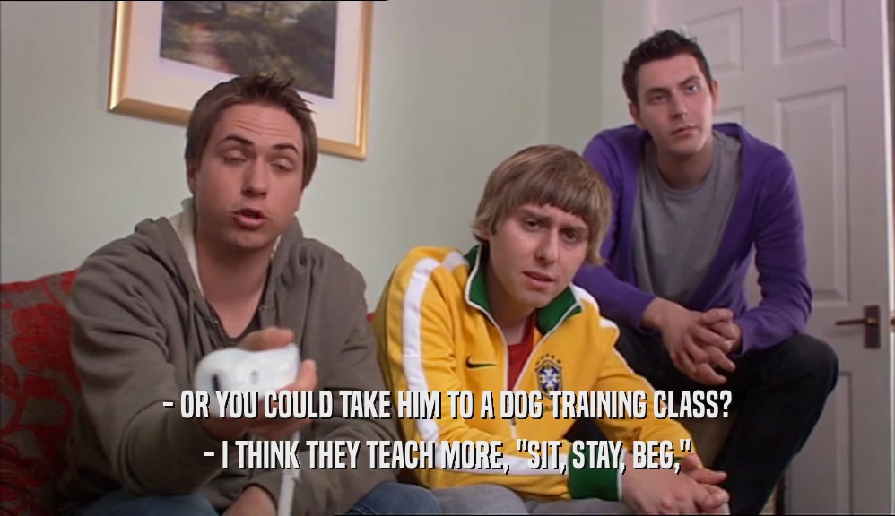 - OR YOU COULD TAKE HIM TO A DOG TRAINING CLASS?
 - I THINK THEY TEACH MORE, 