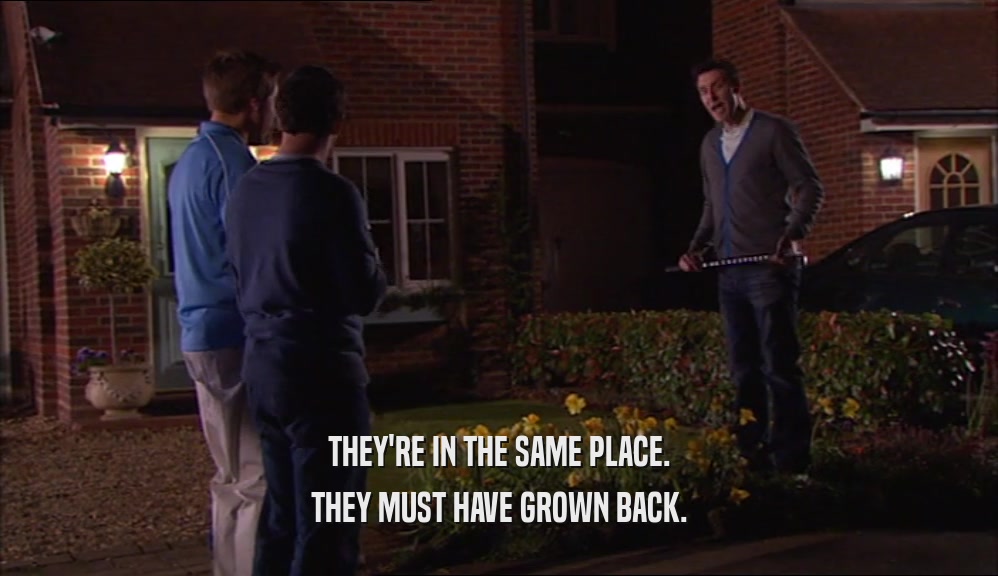 THEY'RE IN THE SAME PLACE. THEY MUST HAVE GROWN BACK. 