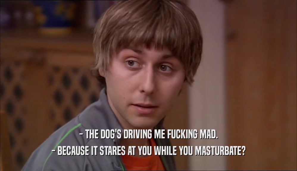 - THE DOG'S DRIVING ME FUCKING MAD. - BECAUSE IT STARES AT YOU WHILE YOU MASTURBATE? 