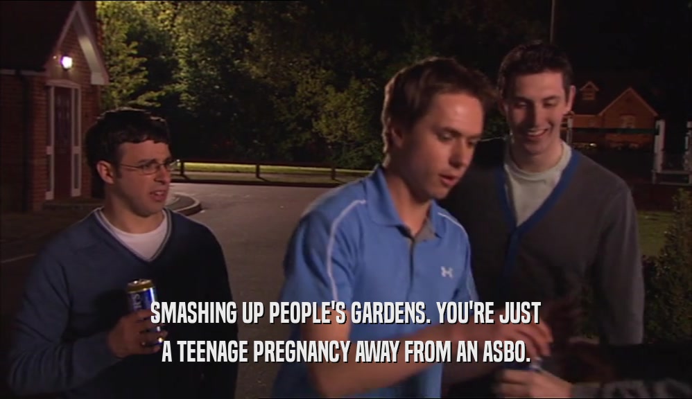SMASHING UP PEOPLE'S GARDENS. YOU'RE JUST A TEENAGE PREGNANCY AWAY FROM AN ASBO. 
