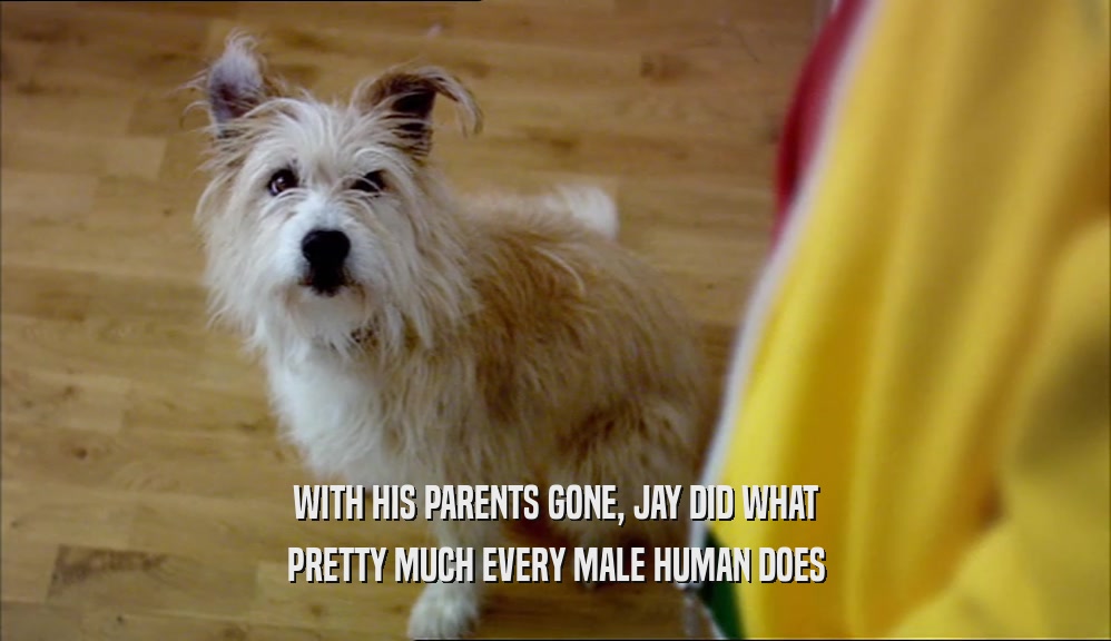 WITH HIS PARENTS GONE, JAY DID WHAT PRETTY MUCH EVERY MALE HUMAN DOES 