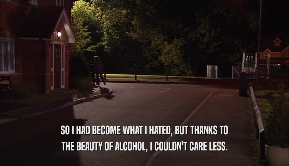 SO I HAD BECOME WHAT I HATED, BUT THANKS TO THE BEAUTY OF ALCOHOL, I COULDN'T CARE LESS. 