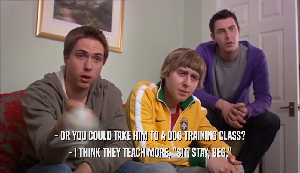 - OR YOU COULD TAKE HIM TO A DOG TRAINING CLASS?
 - I THINK THEY TEACH MORE, 
