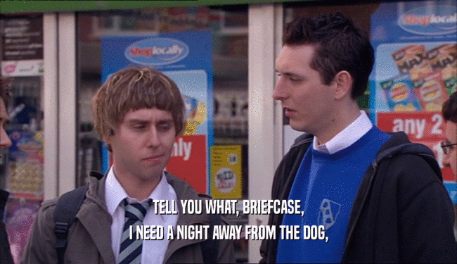 TELL YOU WHAT, BRIEFCASE, I NEED A NIGHT AWAY FROM THE DOG, 