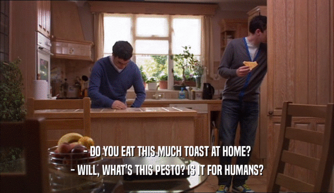 - DO YOU EAT THIS MUCH TOAST AT HOME? - WILL, WHAT'S THIS PESTO? IS IT FOR HUMANS? 