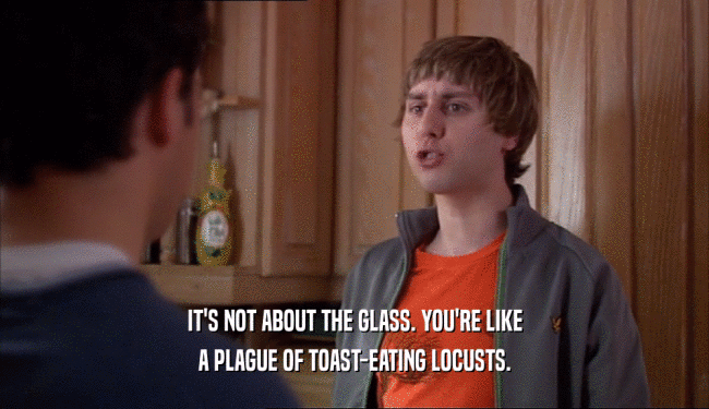 IT'S NOT ABOUT THE GLASS. YOU'RE LIKE
 A PLAGUE OF TOAST-EATING LOCUSTS.
 