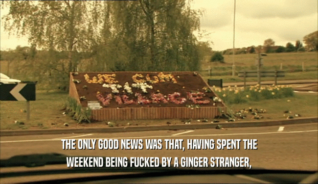 THE ONLY GOOD NEWS WAS THAT, HAVING SPENT THE
 WEEKEND BEING FUCKED BY A GINGER STRANGER,
 
