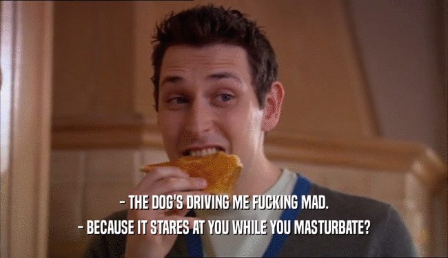 - THE DOG'S DRIVING ME FUCKING MAD. - BECAUSE IT STARES AT YOU WHILE YOU MASTURBATE? 