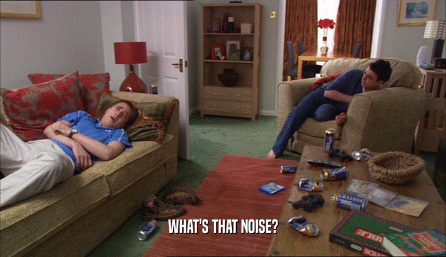 WHAT'S THAT NOISE?  