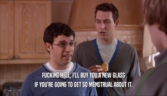 FUCKING HELL, I'LL BUY YOU A NEW GLASS
 IF YOU'RE GOING TO GET SO MENSTRUAL ABOUT IT.
 