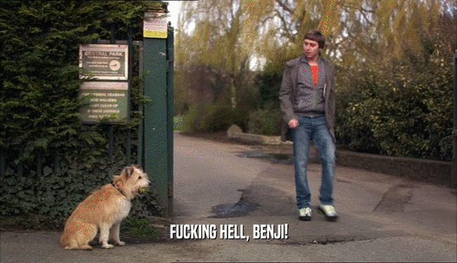 FUCKING HELL, BENJI!  