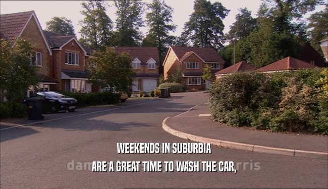 WEEKENDS IN SUBURBIA
 ARE A GREAT TIME TO WASH THE CAR,
 