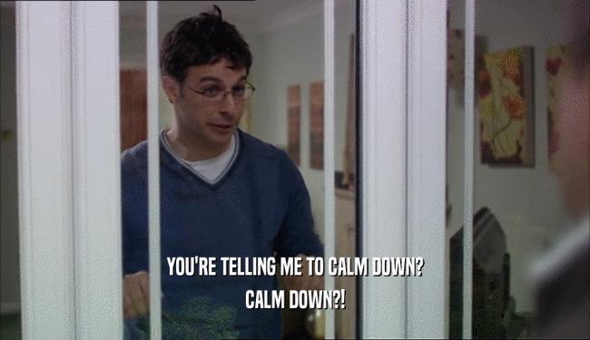 YOU'RE TELLING ME TO CALM DOWN? CALM DOWN?! 