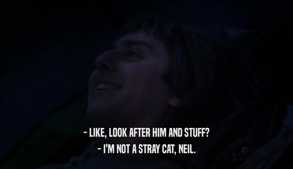 - LIKE, LOOK AFTER HIM AND STUFF? - I'M NOT A STRAY CAT, NEIL. 