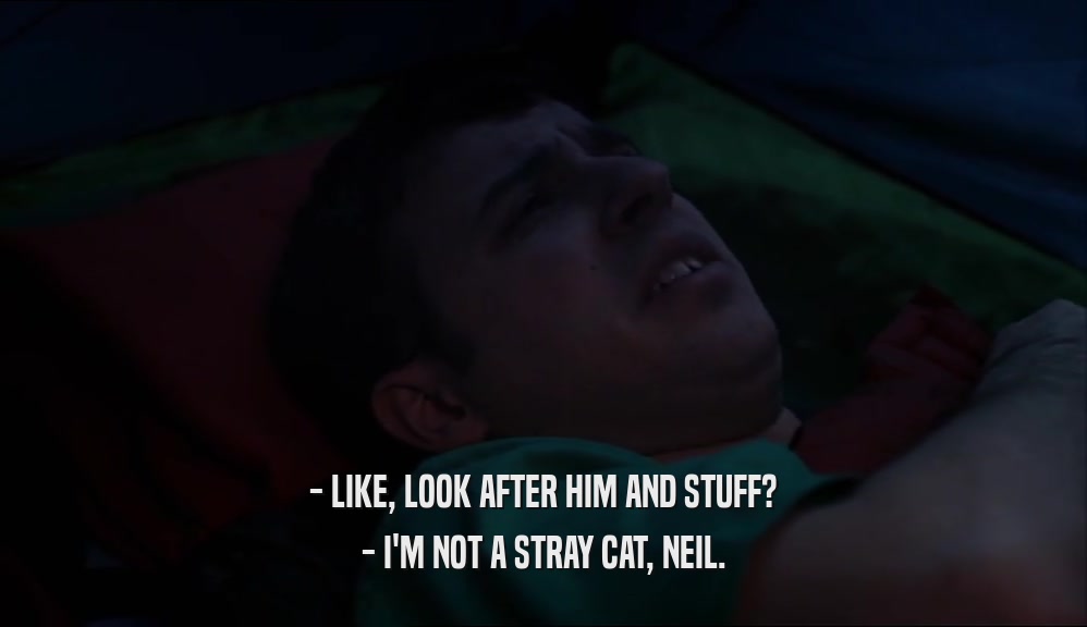 - LIKE, LOOK AFTER HIM AND STUFF? - I'M NOT A STRAY CAT, NEIL. 