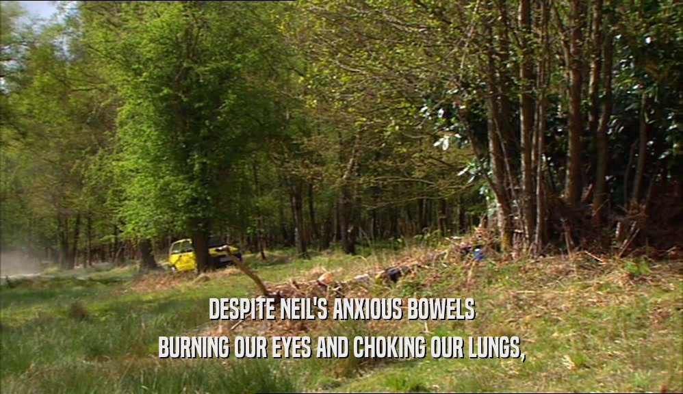 DESPITE NEIL'S ANXIOUS BOWELS BURNING OUR EYES AND CHOKING OUR LUNGS, 