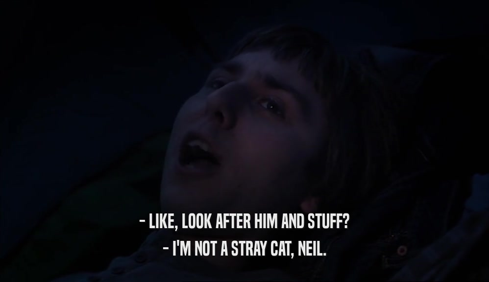 - LIKE, LOOK AFTER HIM AND STUFF? - I'M NOT A STRAY CAT, NEIL. 