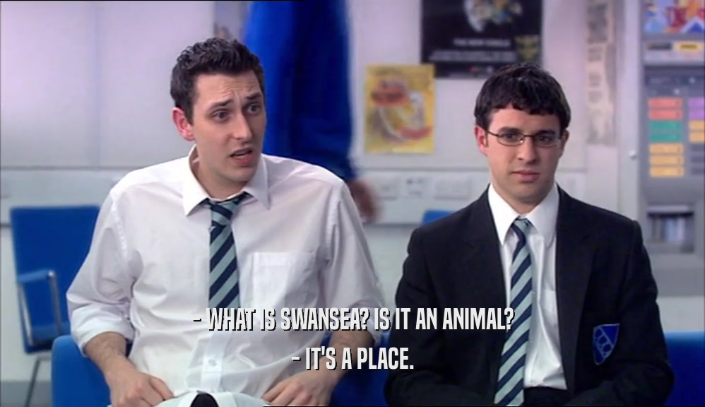- WHAT IS SWANSEA? IS IT AN ANIMAL? - IT'S A PLACE. 