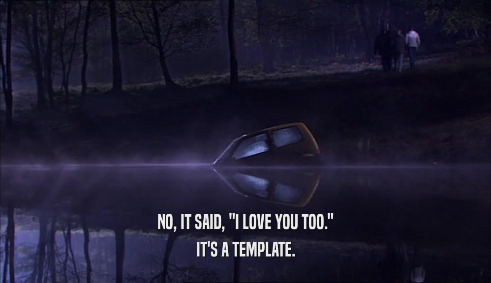 NO, IT SAID, 