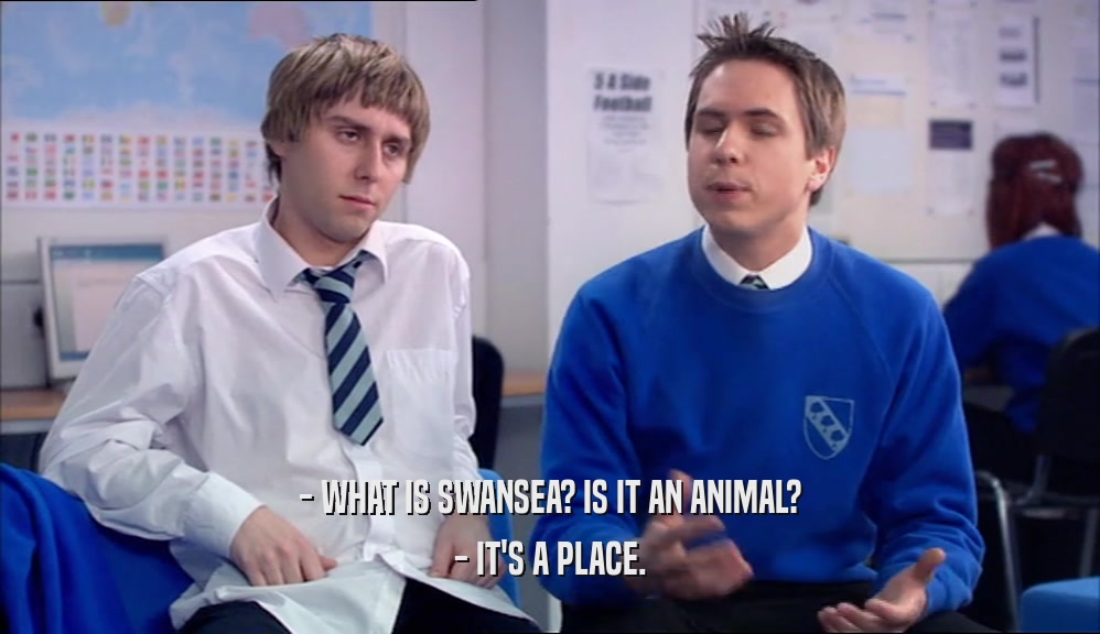 - WHAT IS SWANSEA? IS IT AN ANIMAL? - IT'S A PLACE. 
