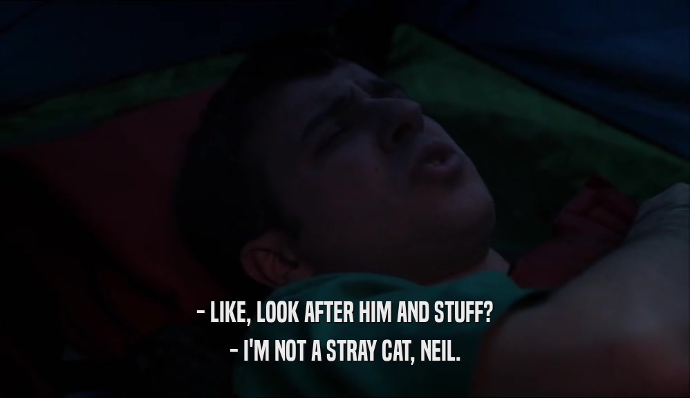 - LIKE, LOOK AFTER HIM AND STUFF? - I'M NOT A STRAY CAT, NEIL. 