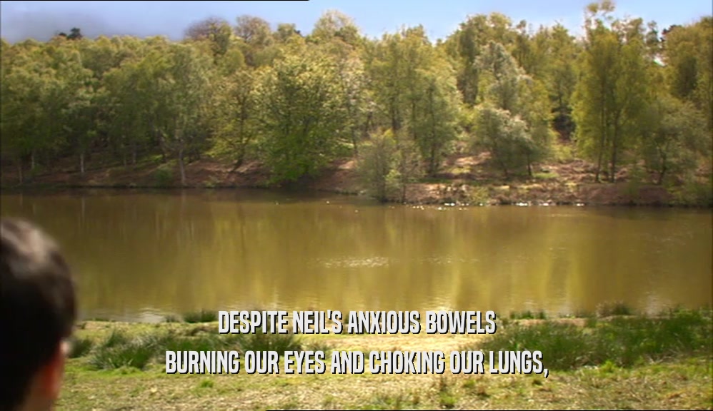 DESPITE NEIL'S ANXIOUS BOWELS BURNING OUR EYES AND CHOKING OUR LUNGS, 