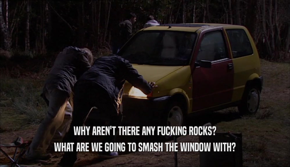 WHY AREN'T THERE ANY FUCKING ROCKS? WHAT ARE WE GOING TO SMASH THE WINDOW WITH? 