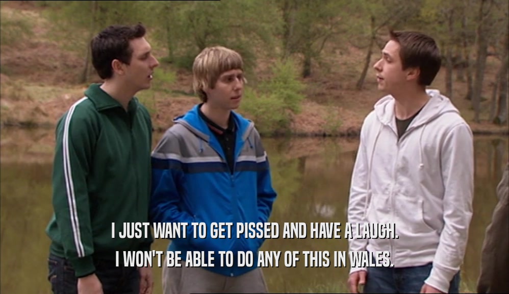 I JUST WANT TO GET PISSED AND HAVE A LAUGH. I WON'T BE ABLE TO DO ANY OF THIS IN WALES. 