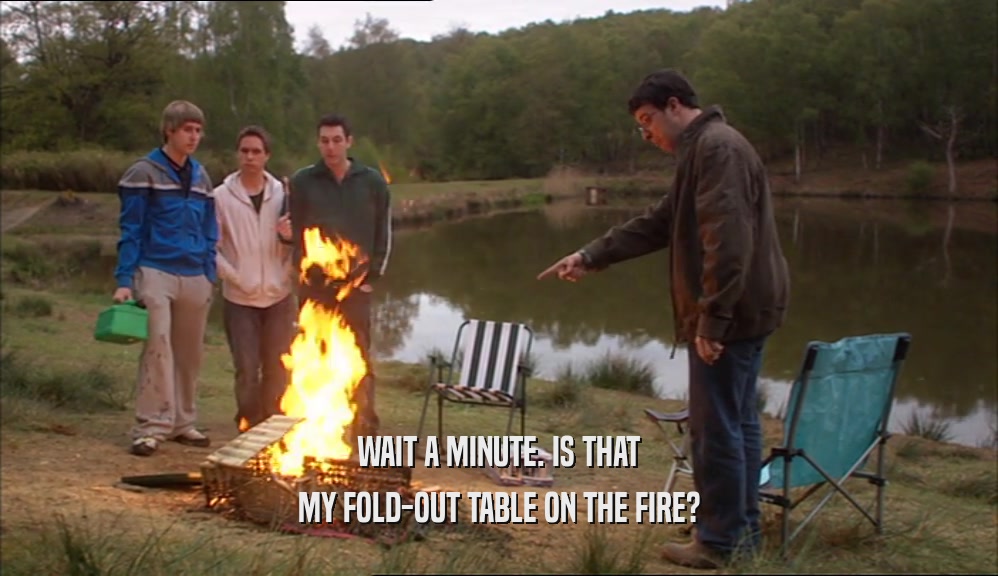WAIT A MINUTE. IS THAT
 MY FOLD-OUT TABLE ON THE FIRE?
 