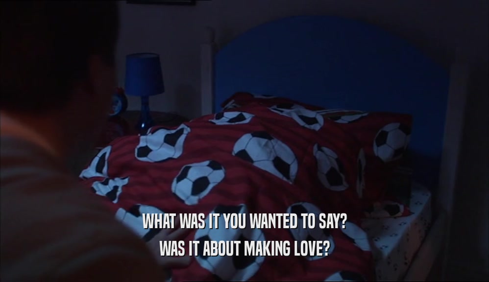 WHAT WAS IT YOU WANTED TO SAY? WAS IT ABOUT MAKING LOVE? 