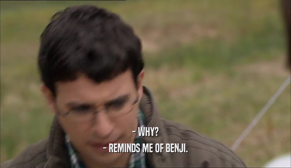- WHY? - REMINDS ME OF BENJI. 