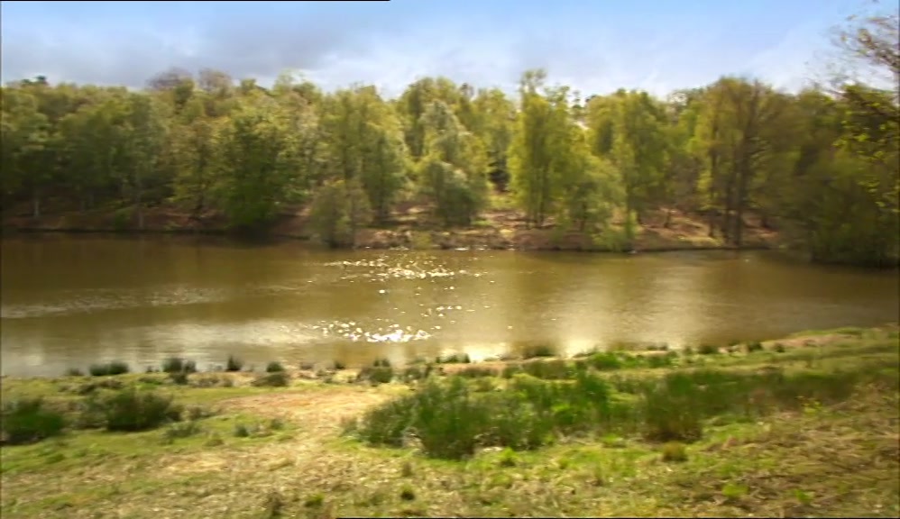 SECLUDED. REMOTE. BEAUTIFUL.  