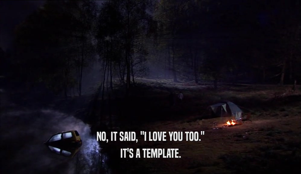 NO, IT SAID, 