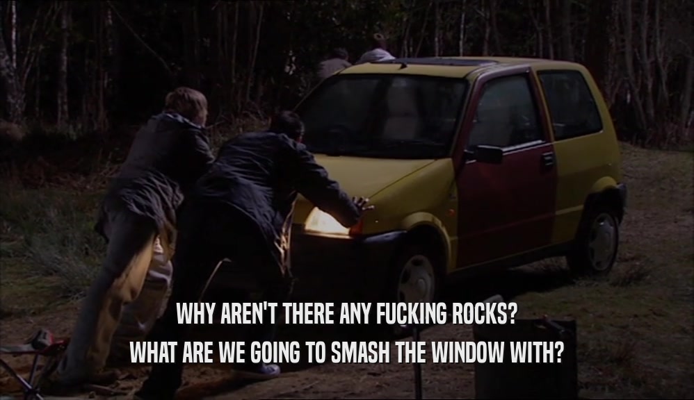 WHY AREN'T THERE ANY FUCKING ROCKS? WHAT ARE WE GOING TO SMASH THE WINDOW WITH? 