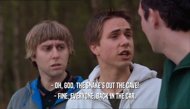 - OH, GOD, THE SNAKE'S OUT THE CAVE! - FINE. EVERYONE, BACK IN THE CAR. 