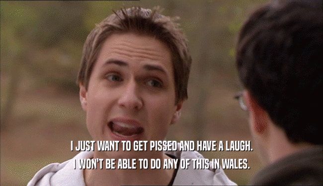 I JUST WANT TO GET PISSED AND HAVE A LAUGH. I WON'T BE ABLE TO DO ANY OF THIS IN WALES. 