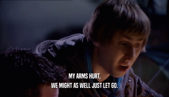 MY ARMS HURT, WE MIGHT AS WELL JUST LET GO. 