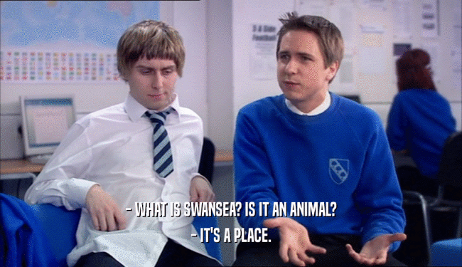 - WHAT IS SWANSEA? IS IT AN ANIMAL?
 - IT'S A PLACE.
 