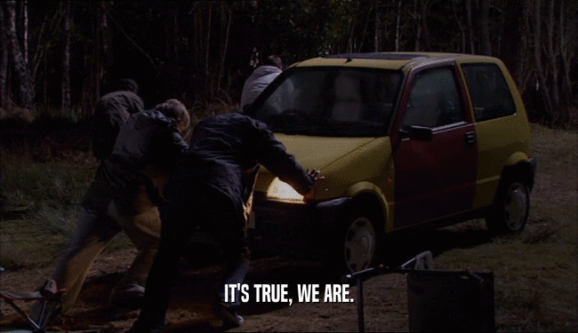 IT'S TRUE, WE ARE.  