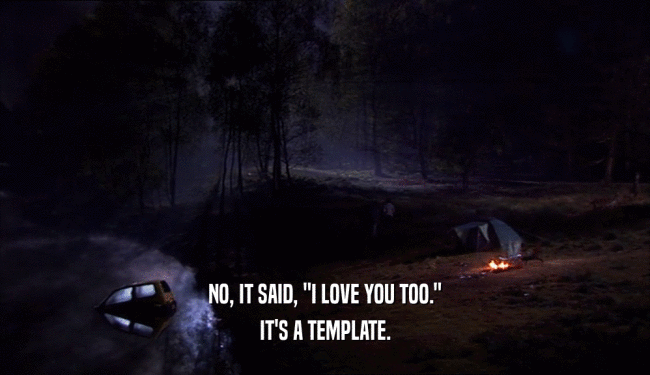 NO, IT SAID, 