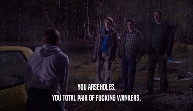 YOU ARSEHOLES. YOU TOTAL PAIR OF FUCKING WANKERS. 