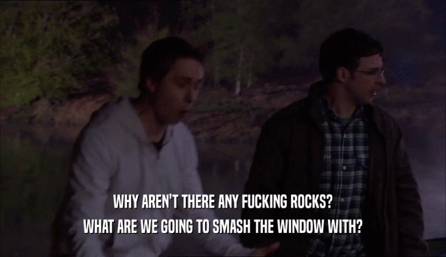 WHY AREN'T THERE ANY FUCKING ROCKS? WHAT ARE WE GOING TO SMASH THE WINDOW WITH? 