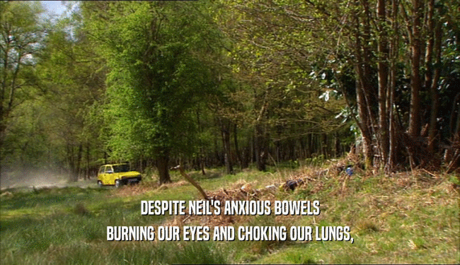 DESPITE NEIL'S ANXIOUS BOWELS BURNING OUR EYES AND CHOKING OUR LUNGS, 