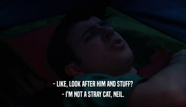- LIKE, LOOK AFTER HIM AND STUFF? - I'M NOT A STRAY CAT, NEIL. 