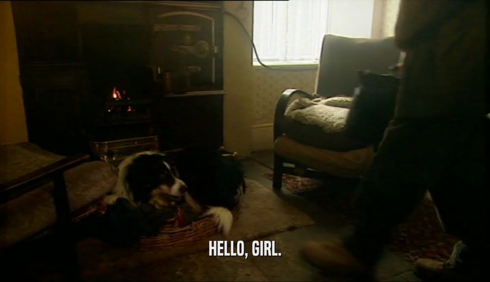 HELLO, GIRL.  