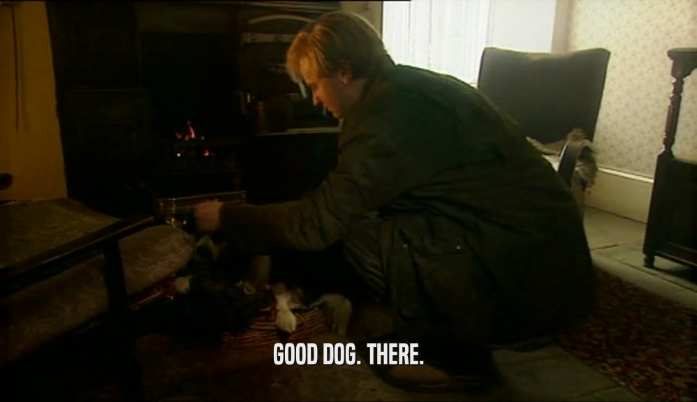 GOOD DOG. THERE.  